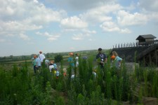 Science Camp Viminacium 2015