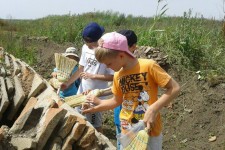 Science Camp Viminacium 2016